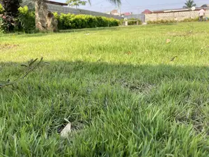 Event Center Garden | Green Grass | Weddings Parties | for Rent