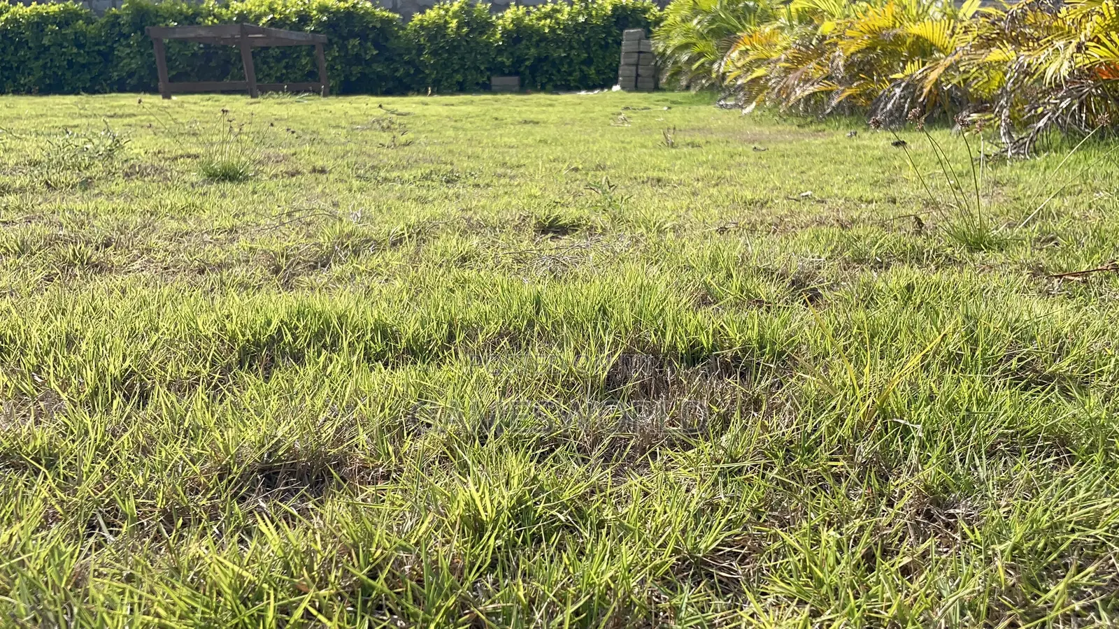 Event Center Garden | Green Grass | Weddings Parties | for Rent