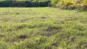 Event Center Garden | Green Grass | Weddings Parties | for Rent
