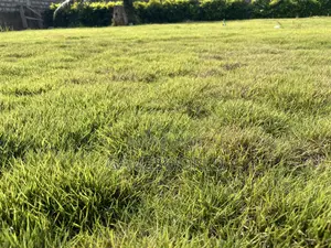 Event Center Garden | Green Grass | Weddings Parties | for Rent