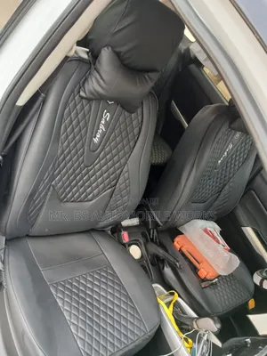 Beautiful Black Seat Cover With Steer Coat & Pillows