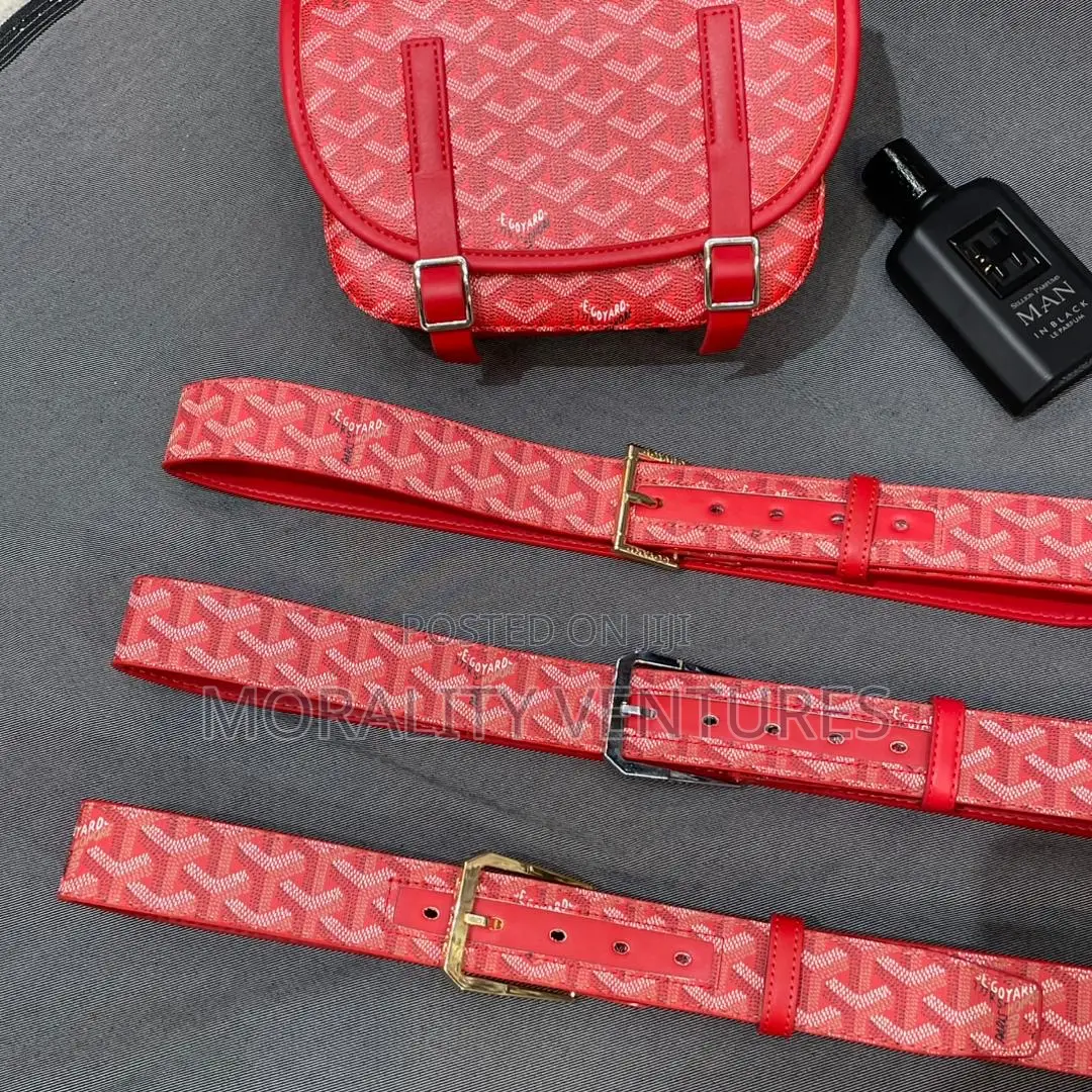 Goyard Side Bag and Belt