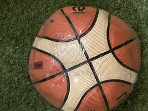 Molten Basketball