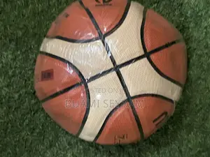 Molten Basketball
