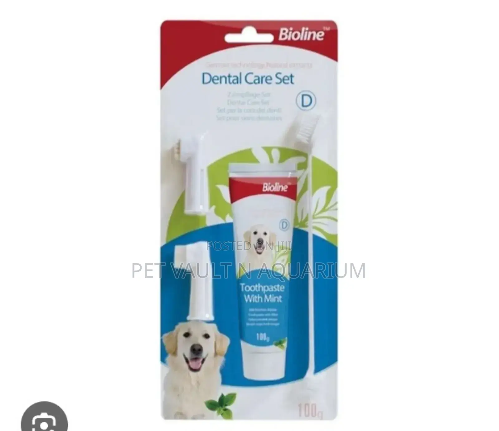 Dental Care for Dogs