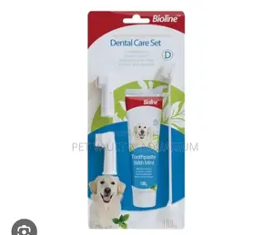 Dental Care for Dogs