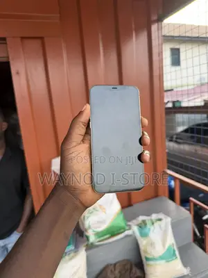 Apple iPhone 12 Pro Max 128 GB Rose Gold