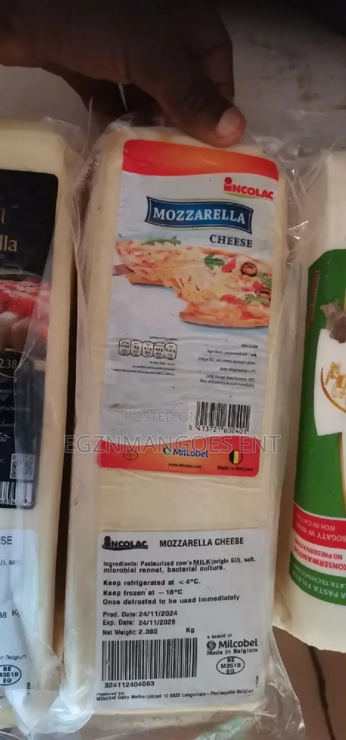Cheese Mozzarella Pizza