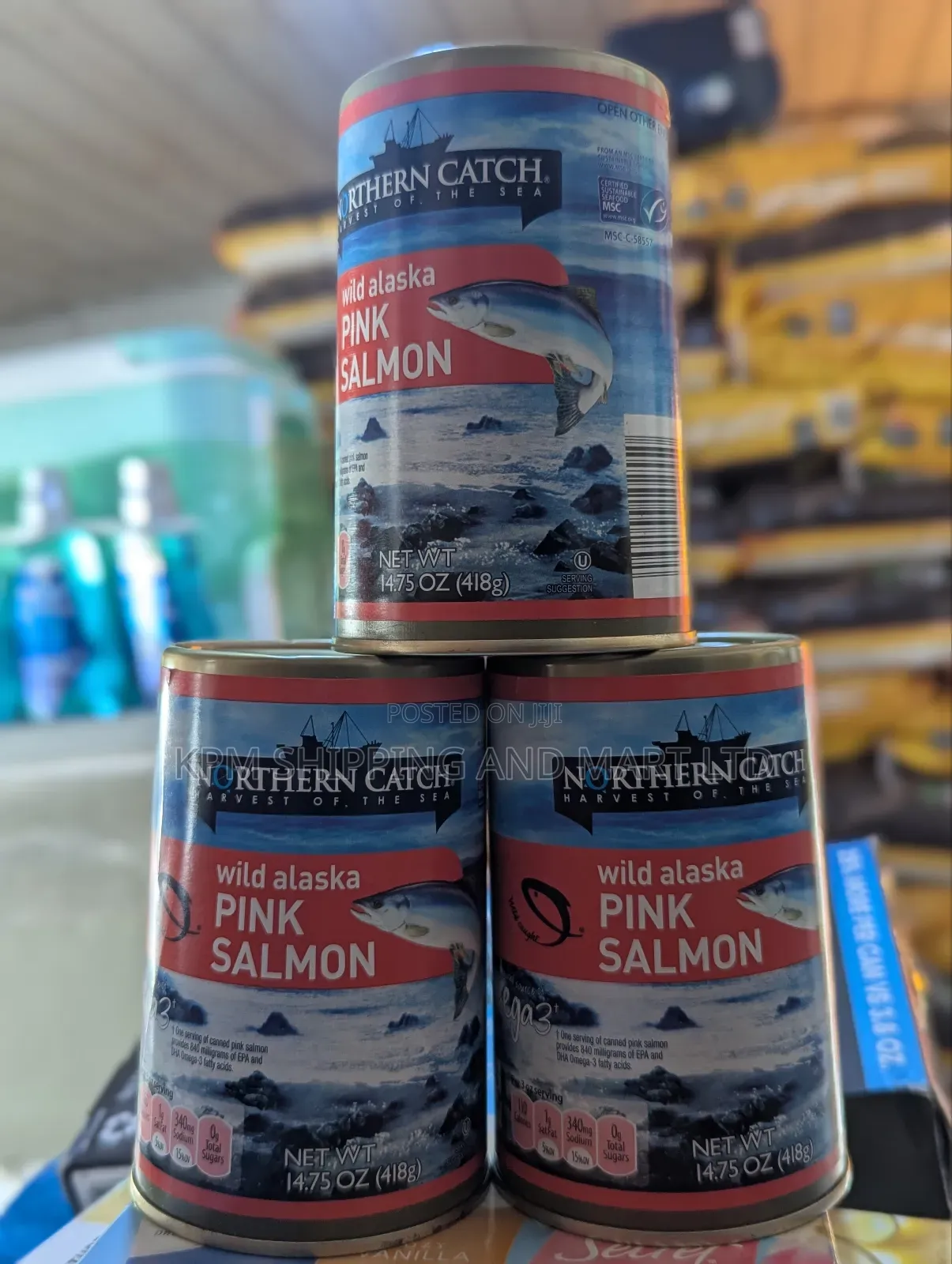 Pink Salmon