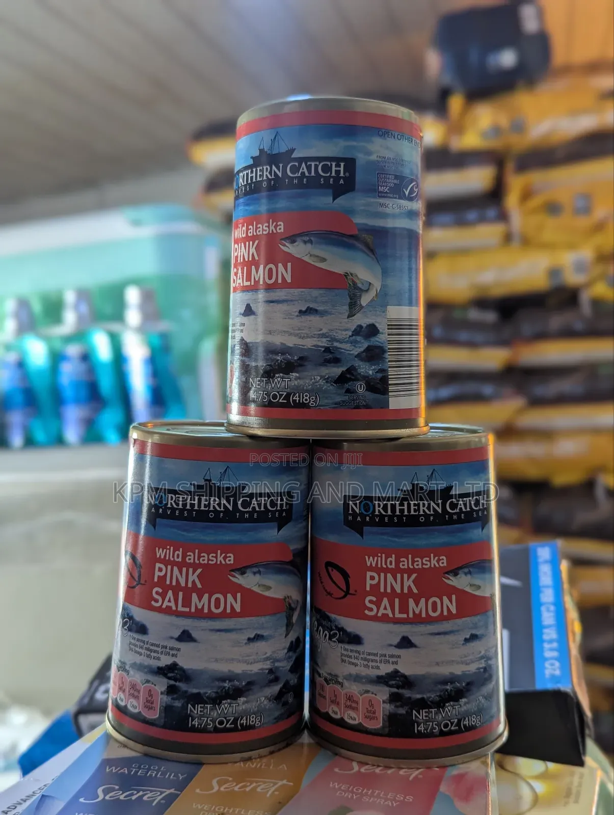 Pink Salmon