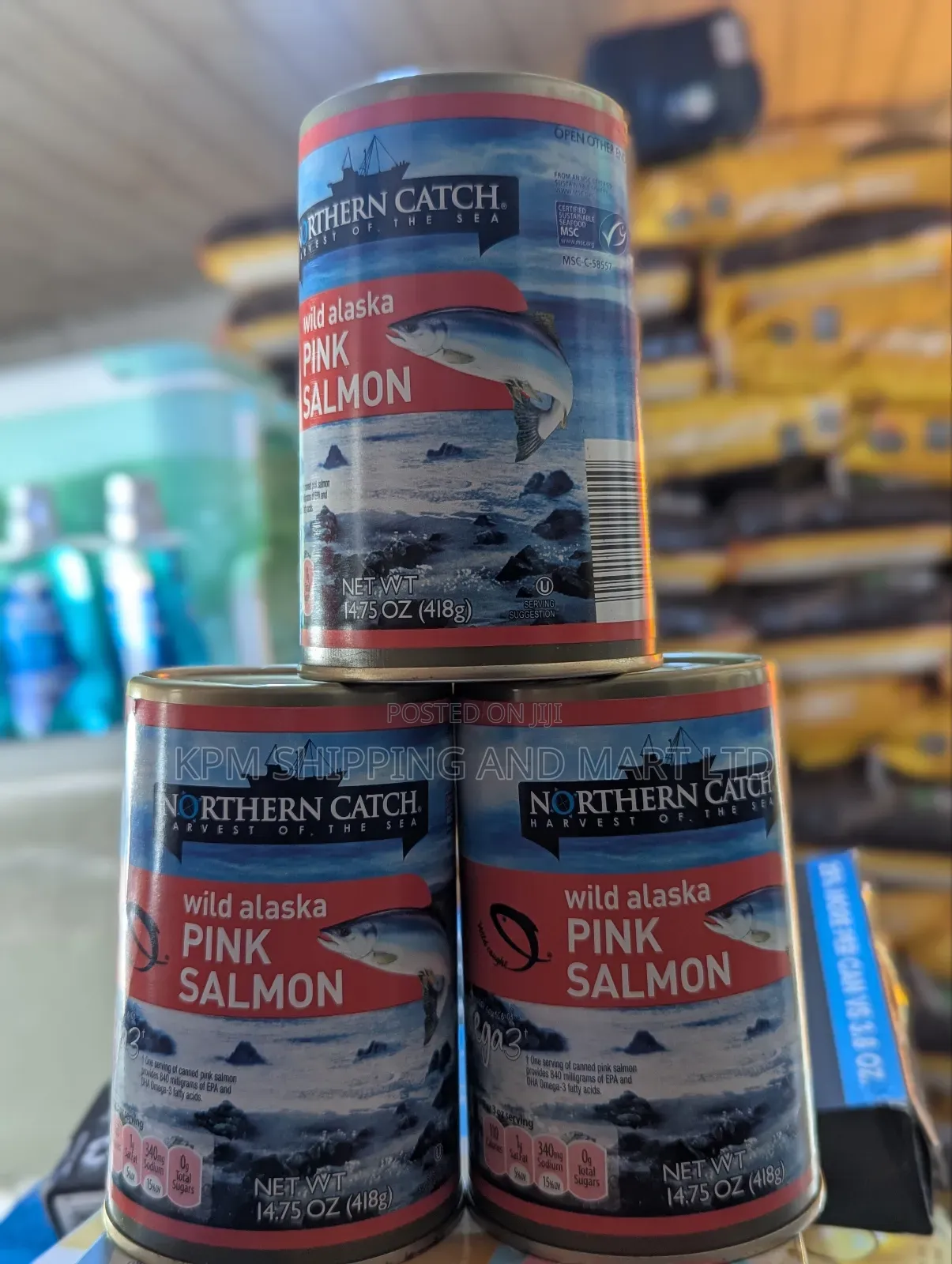 Pink Salmon