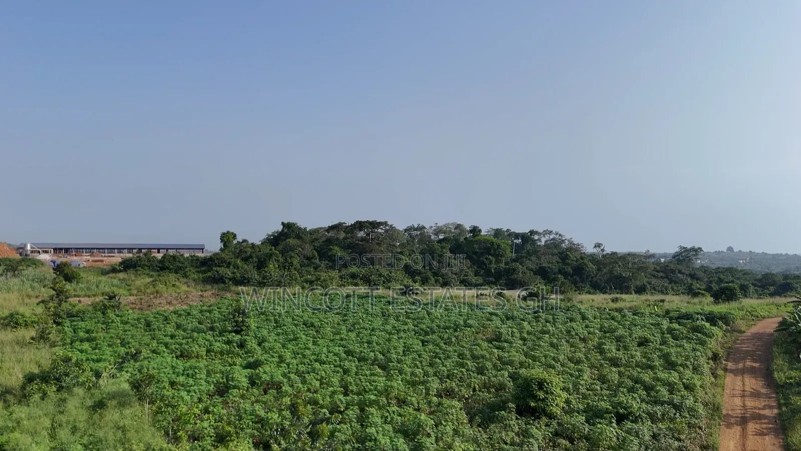Farmland Winneba Swedru Rd