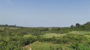 Farmland Winneba Swedru Rd