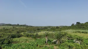 Farmland Winneba Swedru Rd