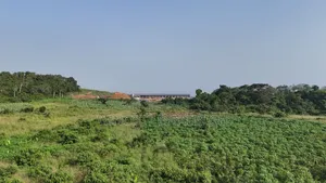 Farmland Winneba Swedru Rd