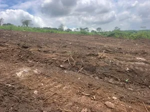 4 Plots of Land at Dodowa for Sale