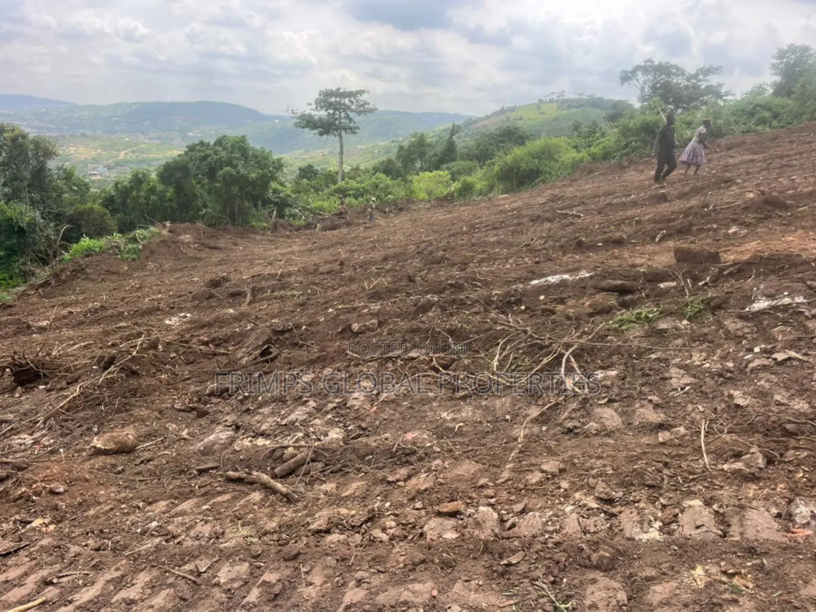 4 Plots of Land at Dodowa for Sale
