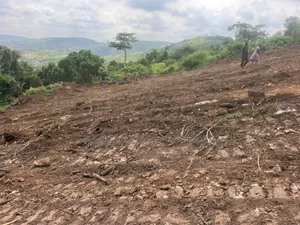 4 Plots of Land at Dodowa for Sale