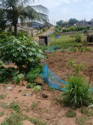 2 Plots With 5bdrm House in West Hills Mall Area for Sale