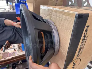 Jac Professional 21gq601d 21-inch Subwoofer(Naked Speaker)