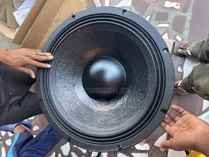 Jac Professional 21gq601d 21-inch Subwoofer(Naked Speaker)