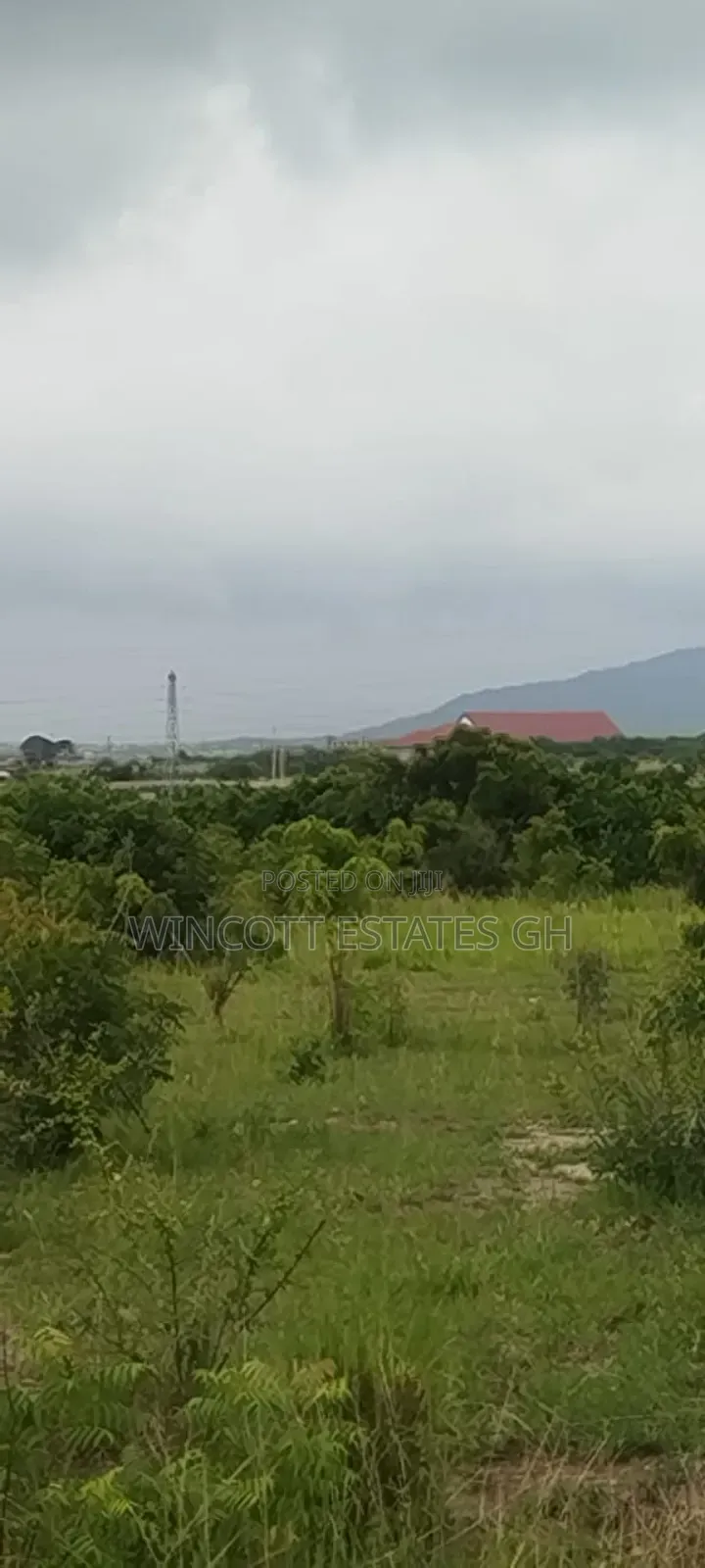 4 Plots Near Winneba Junction