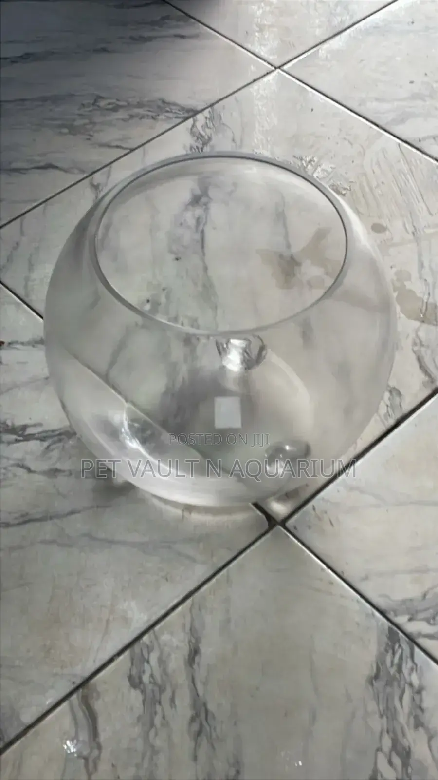 Aquarium Glass Fish Bowl Large