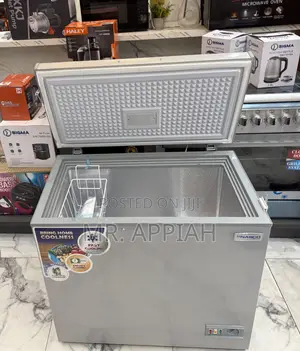Original Nasco 200l Single Door Chest Freezer(Nas250fl)Gray
