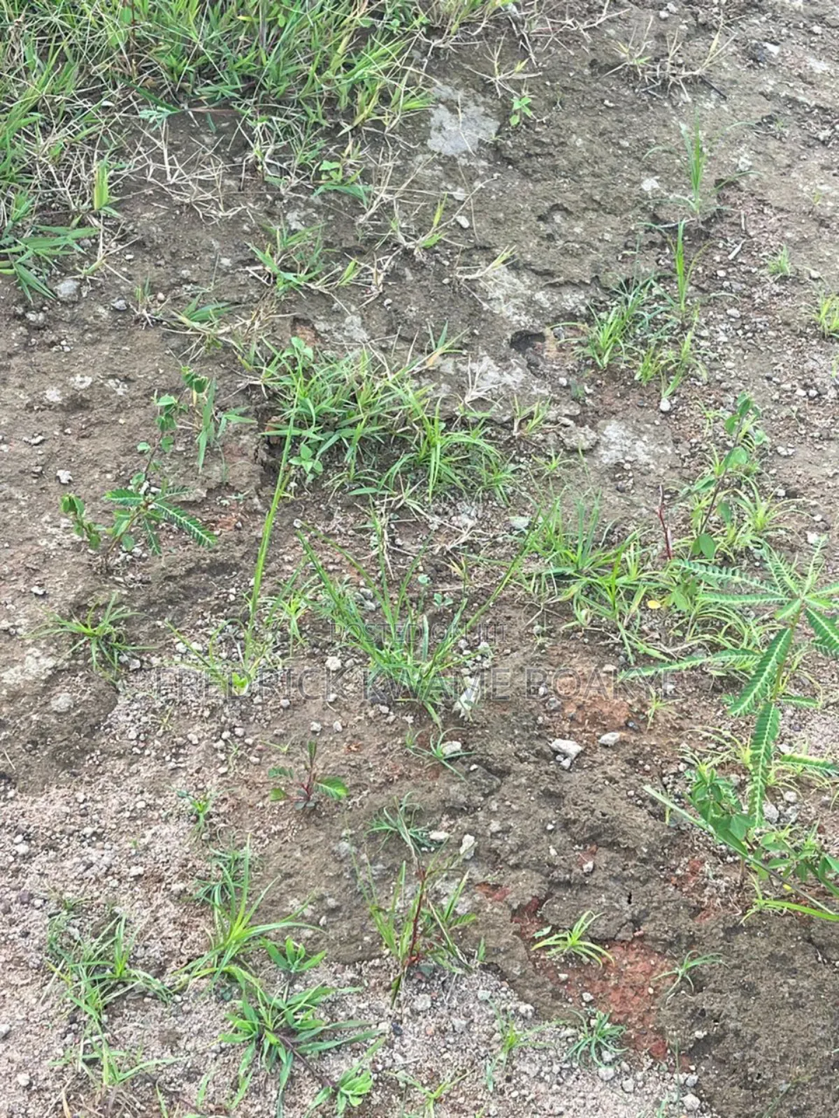 Plot of Land for Sale at Abuakwa Agogo