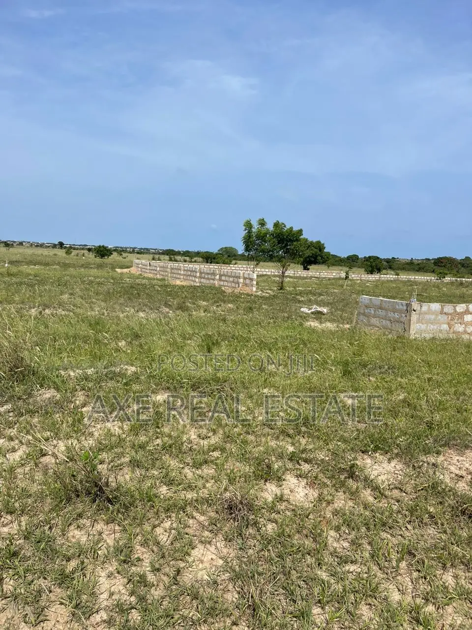 Moderate Prices With Incentives on Lands