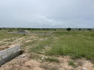 Free Packages on Discounted Plots at Dawhenya, Zion City