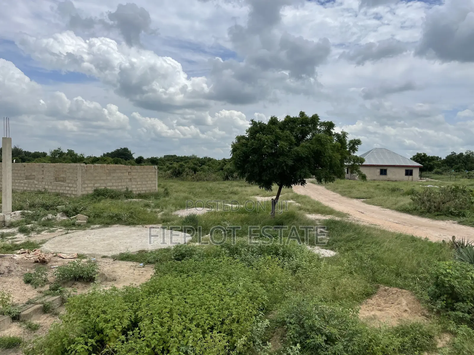 Free Packages on Discounted Plots at Dawhenya, Zion City