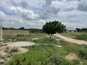 Free Packages on Discounted Plots at Dawhenya, Zion City