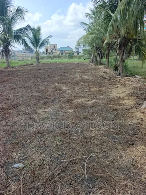 A Plot of Land at Tsopoli