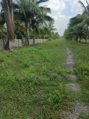 A Plot of Land at Tsopoli