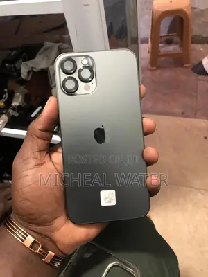 Apple iPhone 12 Pro Max 256 GB Gray