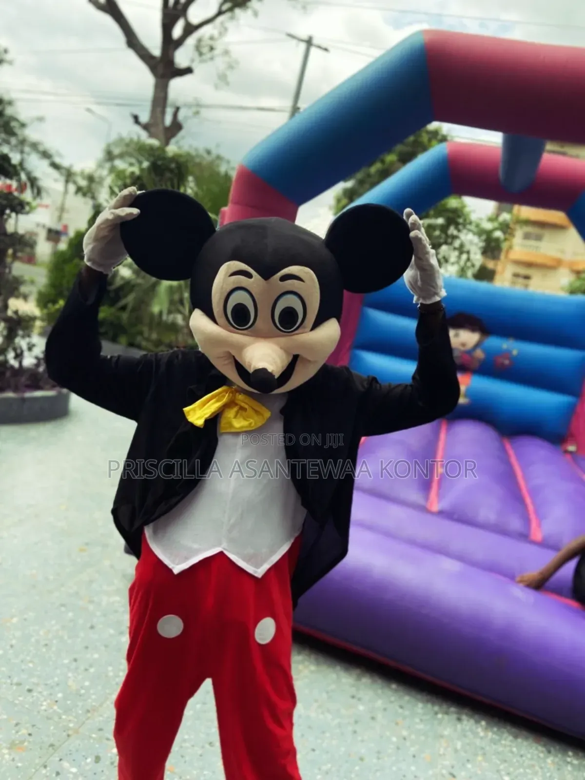 Mascot Services
