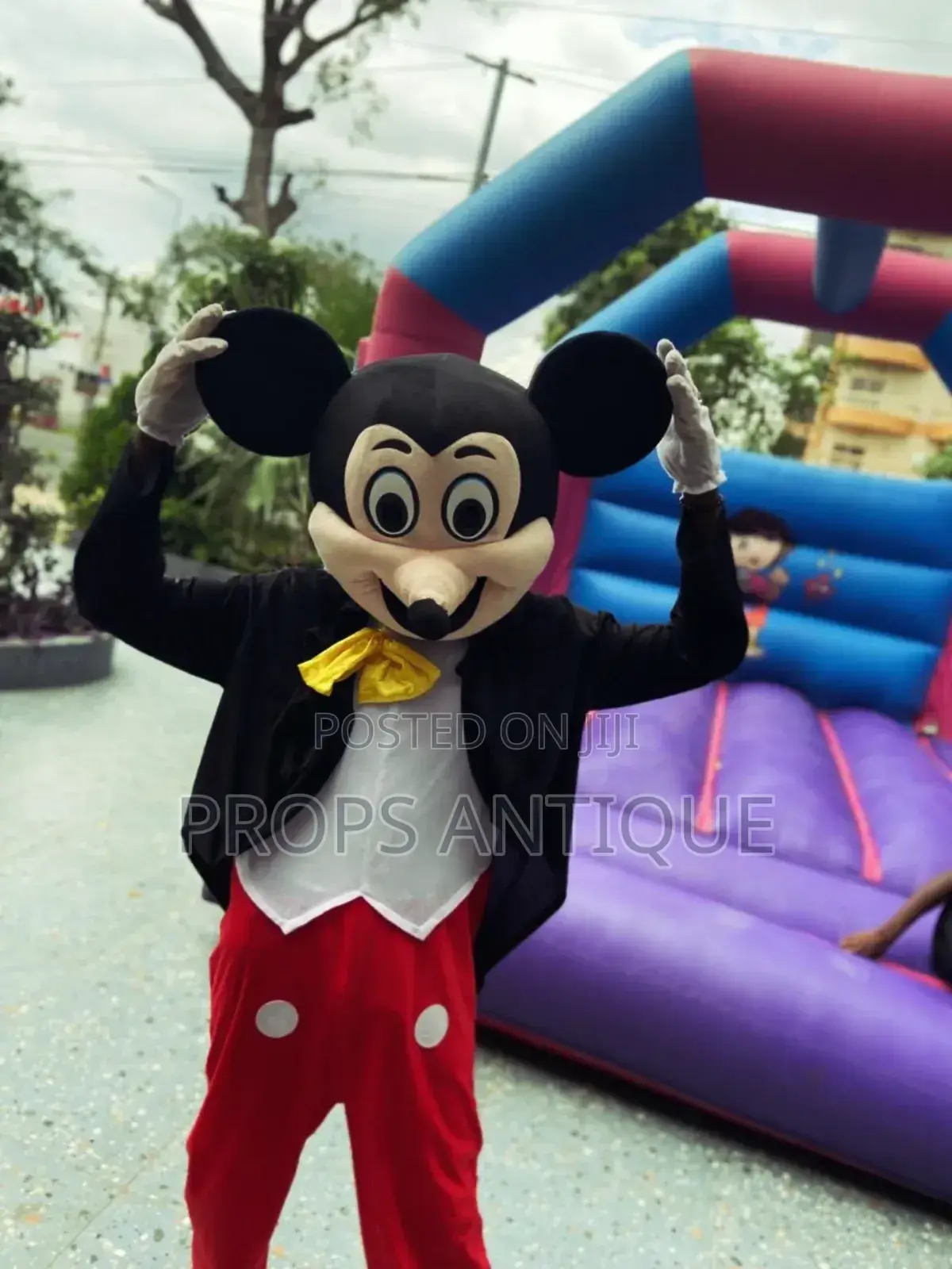 Mascot Services