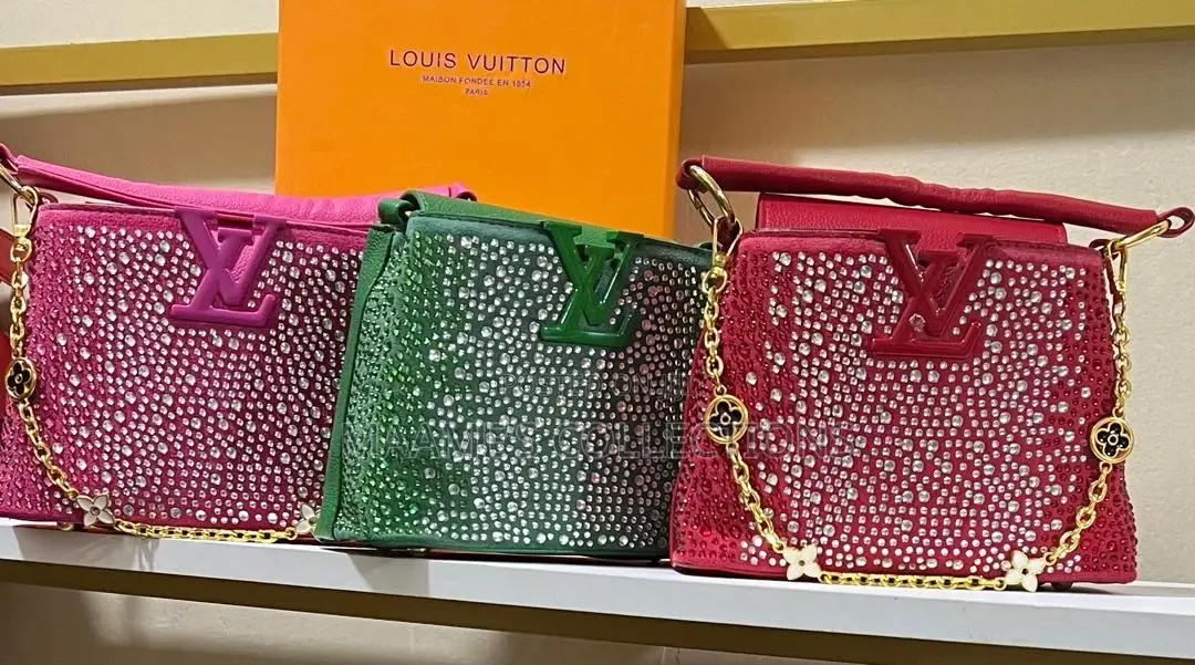 Louis Vuitton Party Bangle Bags ( In A Box)