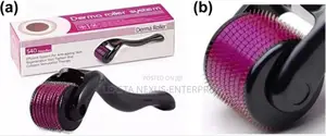 Derma Roller