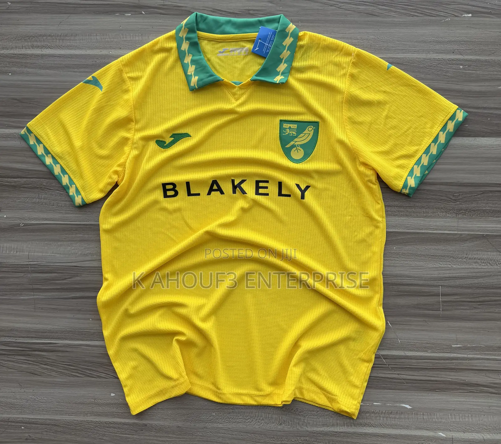 Norwich City Home Jersey for 2025/26 Season