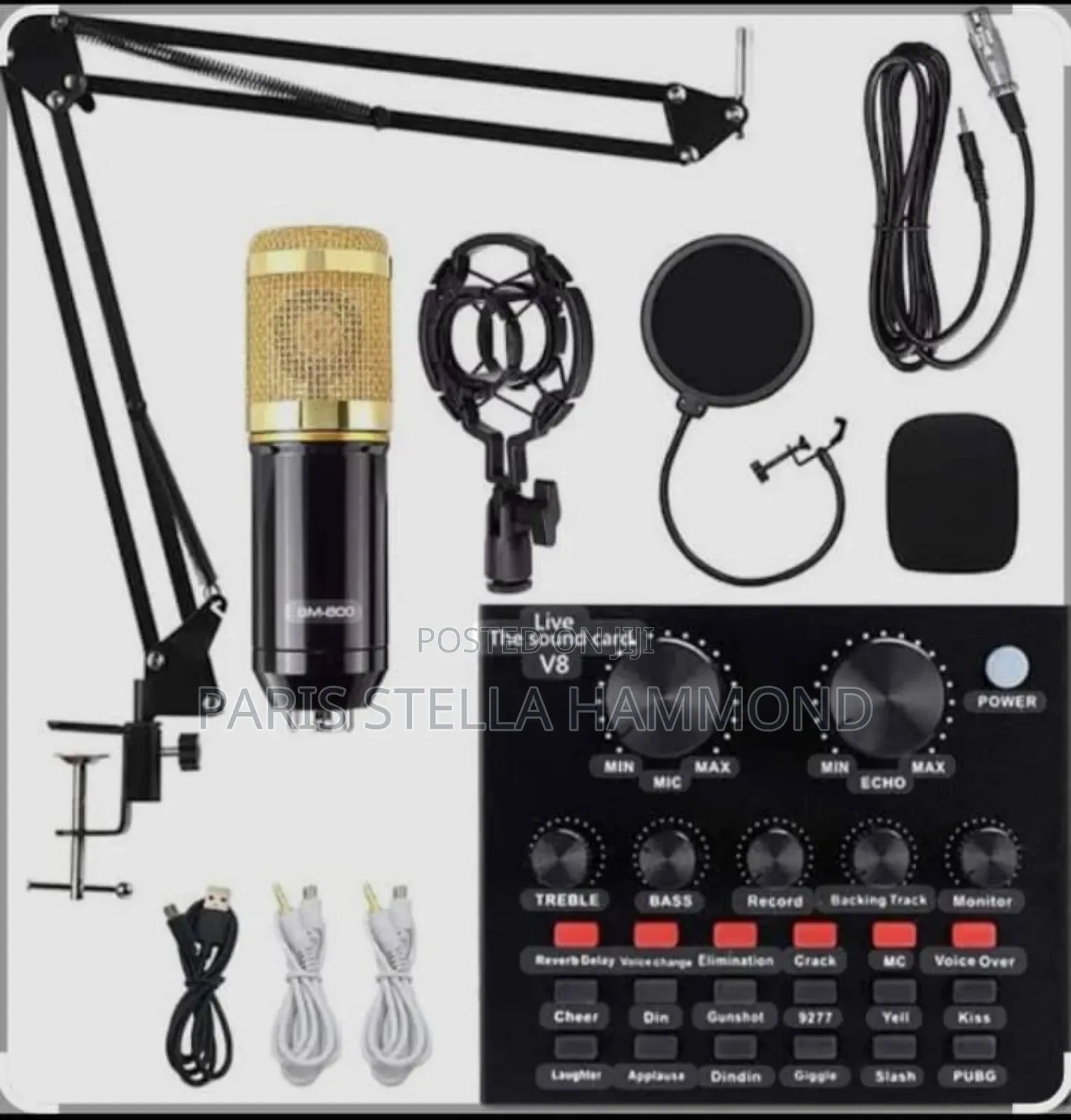 Professional Microphone Condenser