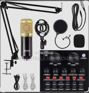 Professional Microphone Condenser