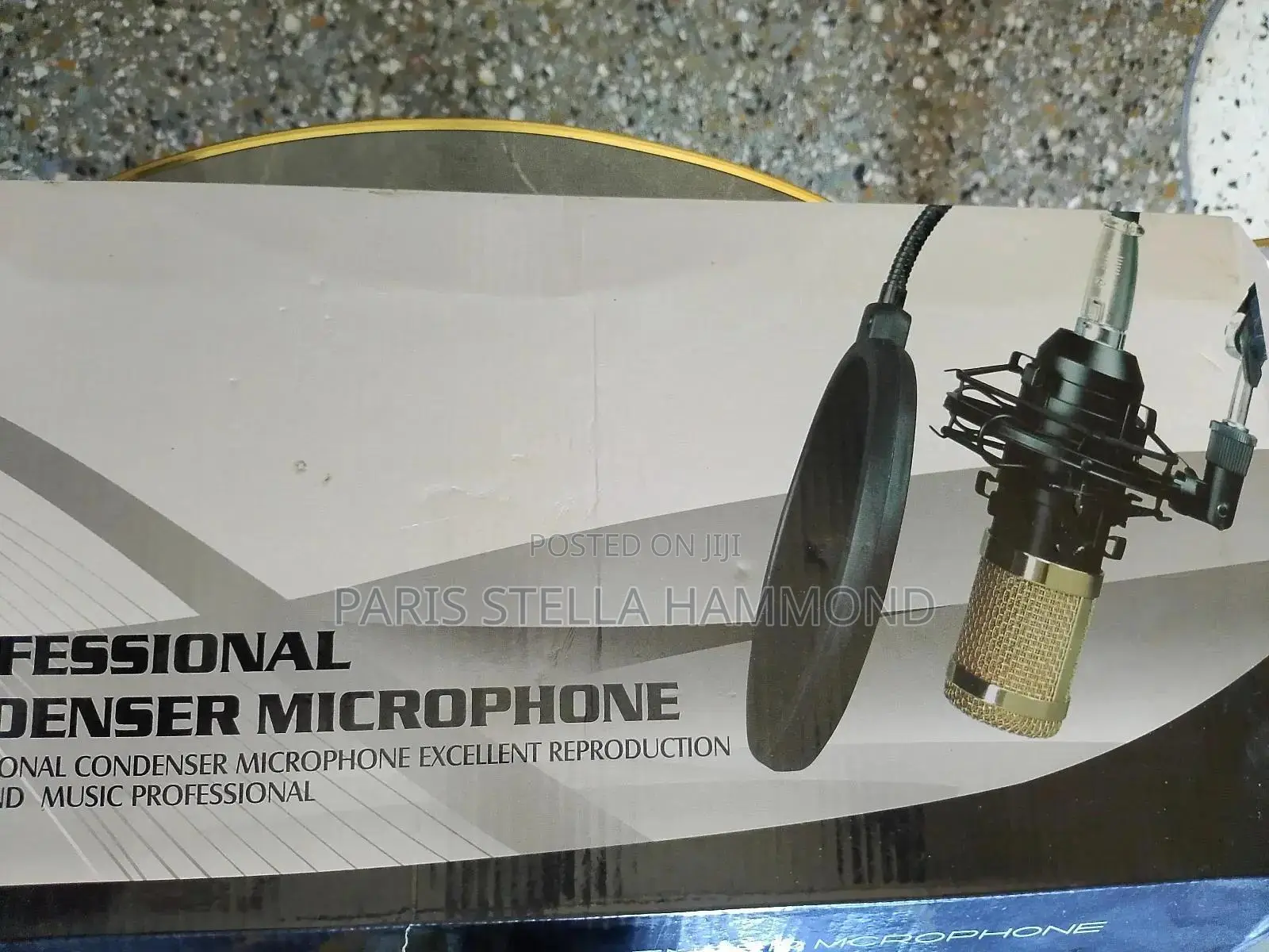 Professional Microphone Condenser