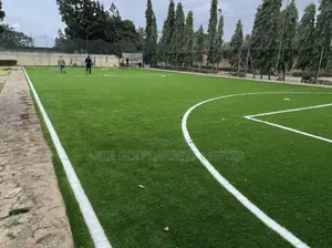 Original Astroturf
