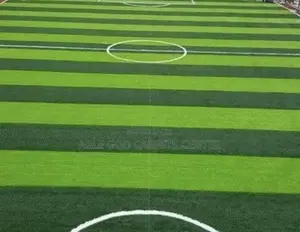 Fifa-Approved Astroturf for Football Pitches and Other Sports