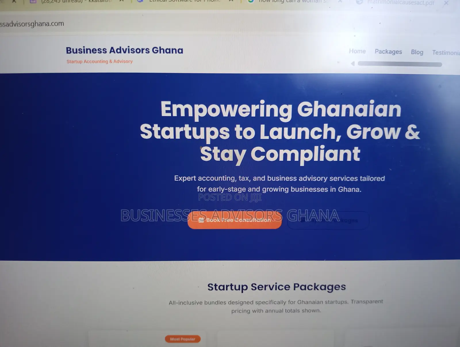 Business Advisors And Accounting Services