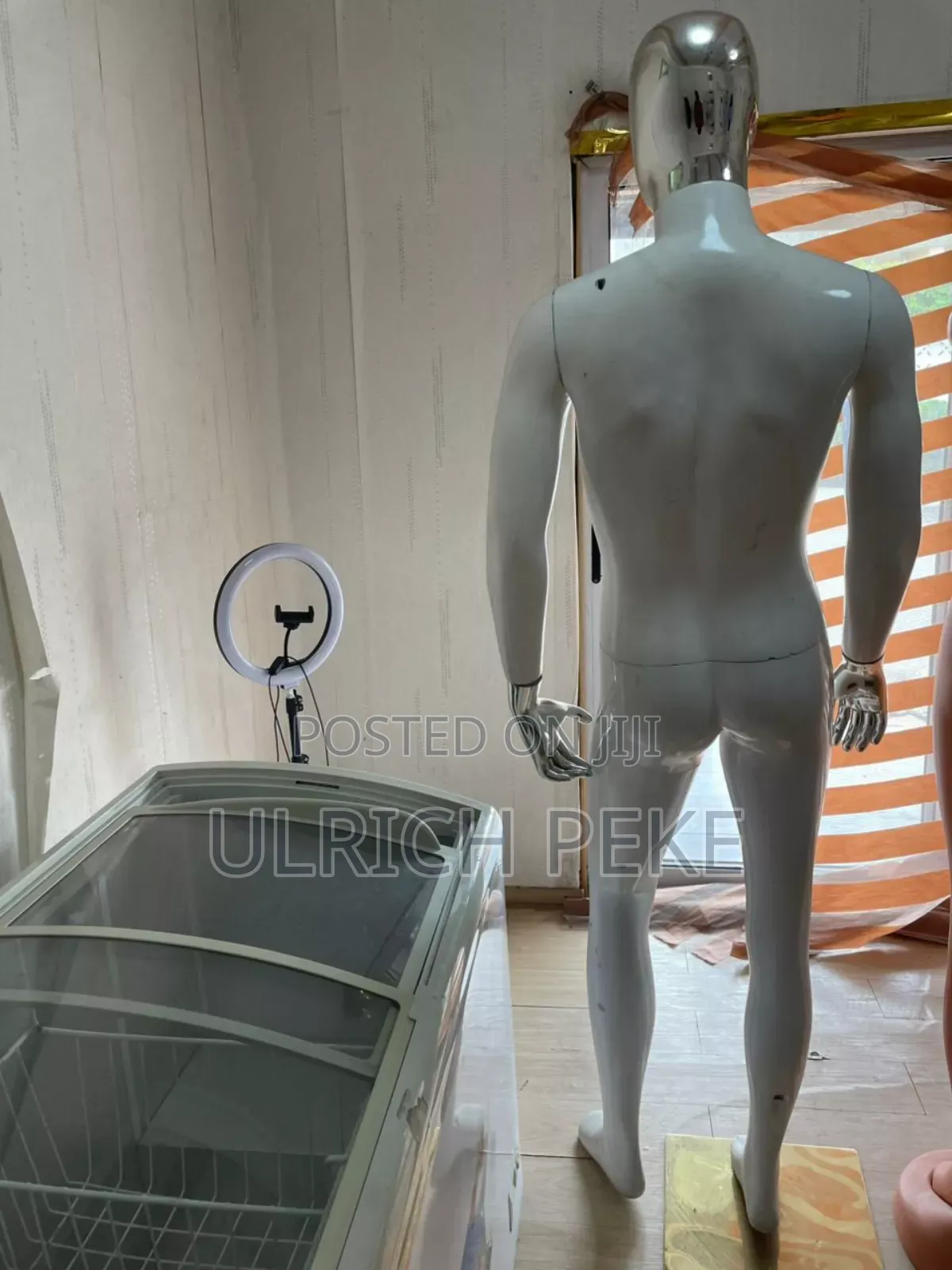 Mannequin Male