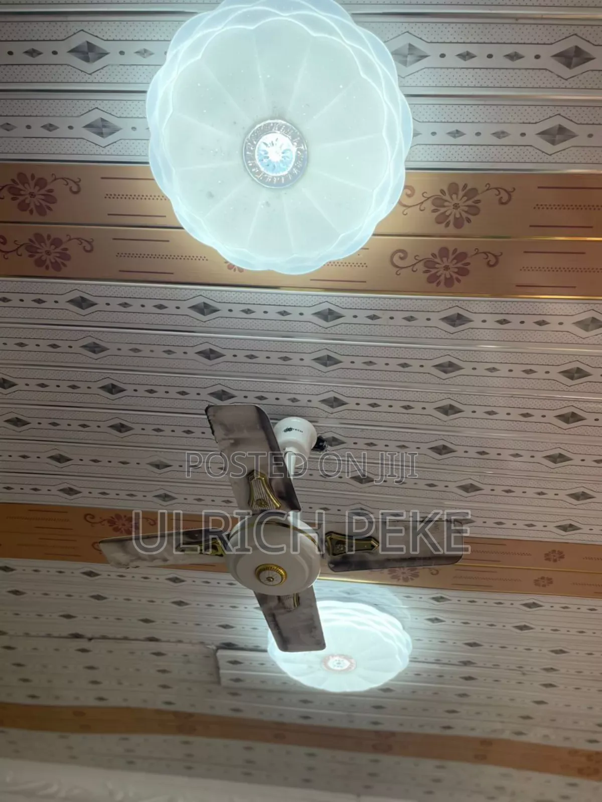 Celling Fan and Two Design Celling Lights