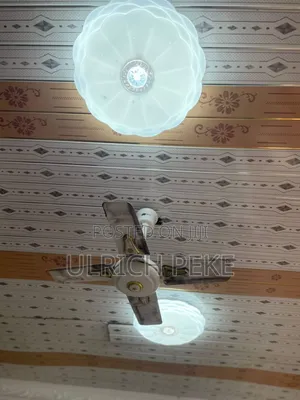 Celling Fan and Two Design Celling Lights
